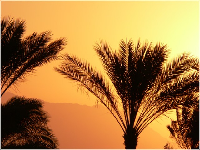 Синайский полуостров 