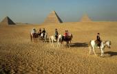 Экскурсия на верблюдах или лошадях в пустыне