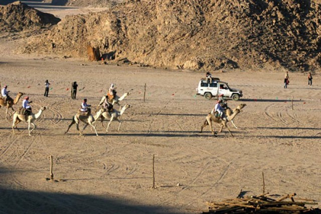 Экскурсия Бедуинский карнавал