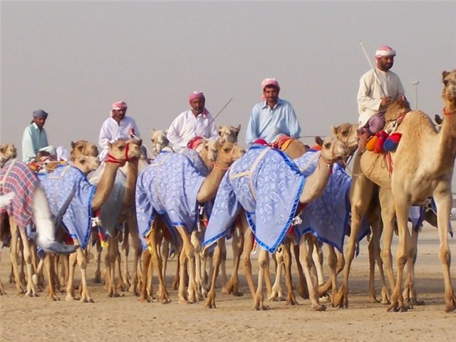 Свадьба у бедуинов